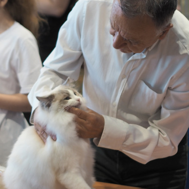 Home Ragdoll & Devon Rex Felinki*Pl